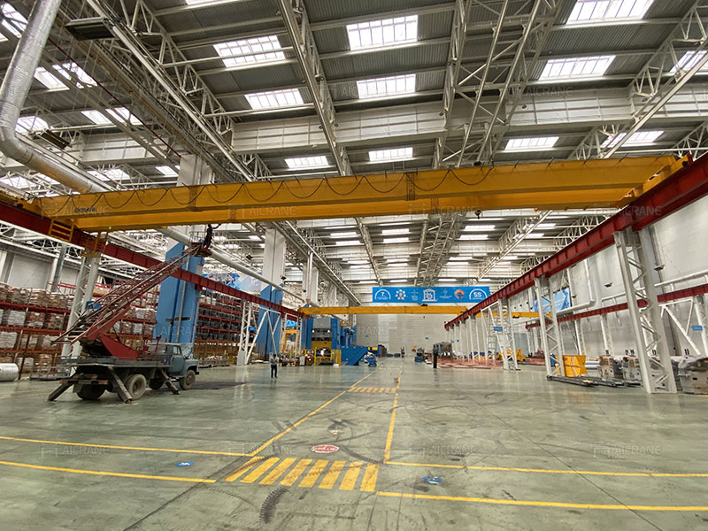 Double Girder EOT Crane Manufacturer